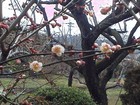 春近し