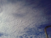 120906の釣果