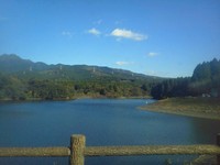 秋も終盤ですね 2012/11/15 19:14:00
