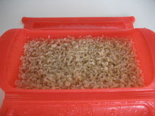 ルクエで玄米ご飯
