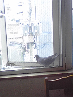覗き(・_・;)
