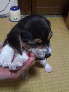 やんちゃ坊主!